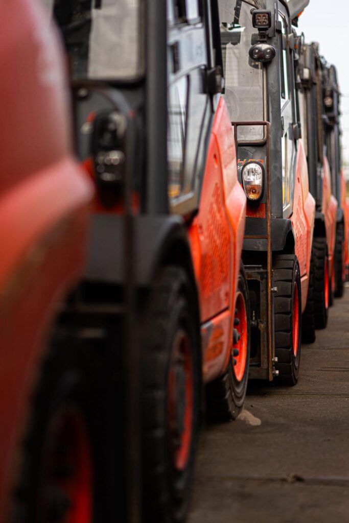 WhatsApp Image 2025-11-04 at 18.10.17-4